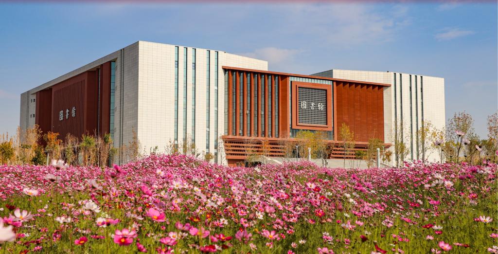 色情片
 2024年硕士研究生招生考试进...